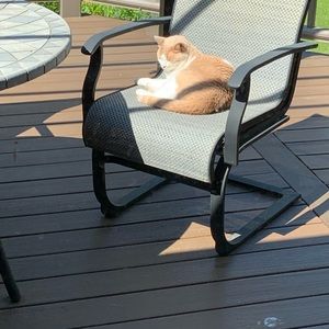 Meet your Posher, Deborah